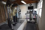 Lower level workout area with treadmill, eliptical, weight machine